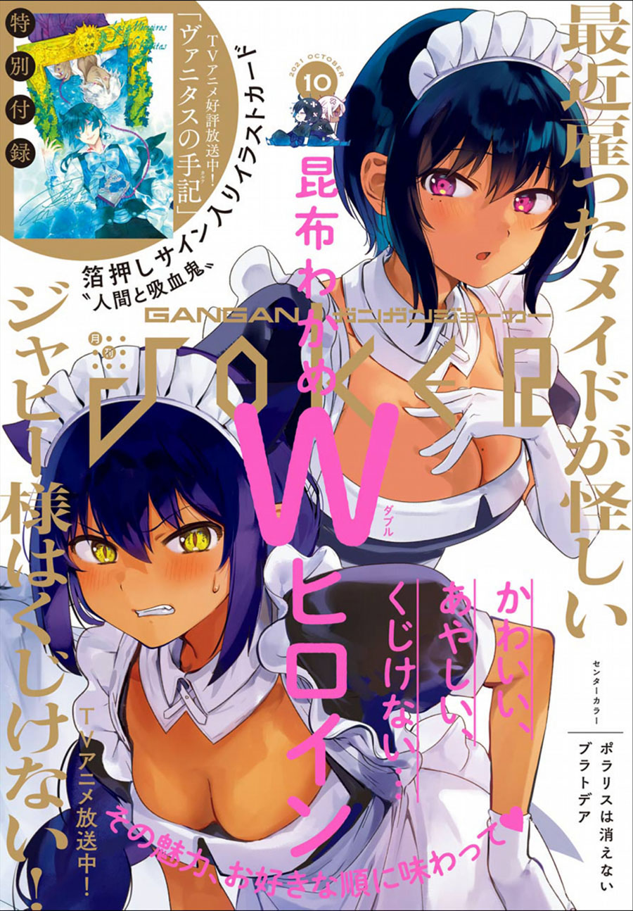 My Recently Hired Maid Is Suspicious (Serialization)